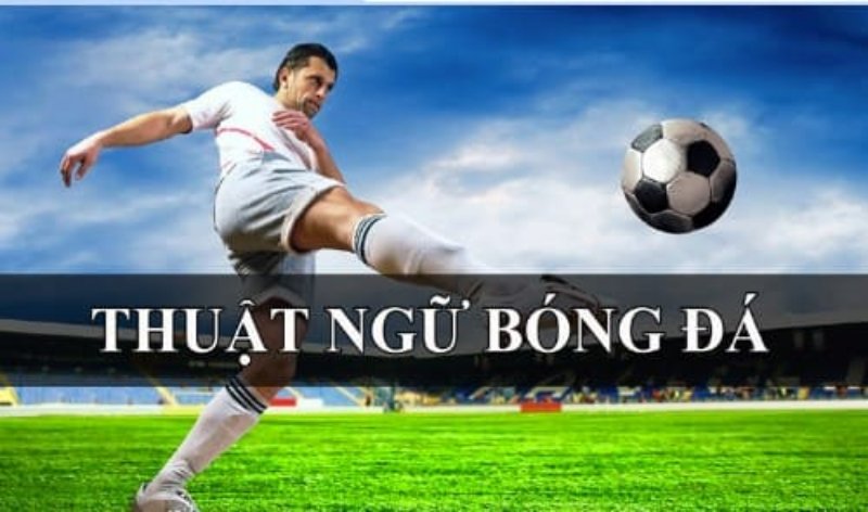 Tổng Hợp Từ A - Z Thuật Ngữ Dùng Trong Cá Cược Bóng Đá Định nghĩa về Thuật ngữ bóng đá