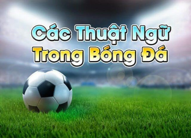 Tổng Hợp Từ A - Z Thuật Ngữ Dùng Trong Cá Cược Bóng Đá Các thuật ngữ có trong kèo châu Á