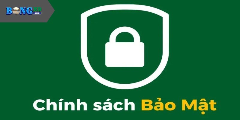 Chính Sách Bảo Mật Ở Bongx9 - Các Nội Dung Cần Biết Thường xuyên dành thời gian kiểm tra các giao dịch