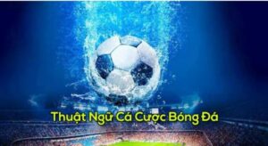 Vài thuật ngữ tiếng anh bạn nên biết