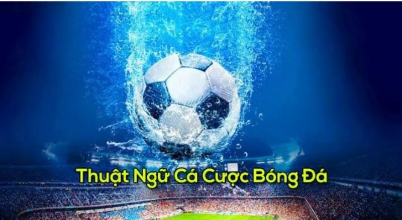Tổng Hợp Từ A - Z Thuật Ngữ Dùng Trong Cá Cược Bóng Đá Vài thuật ngữ tiếng anh bạn nên biết