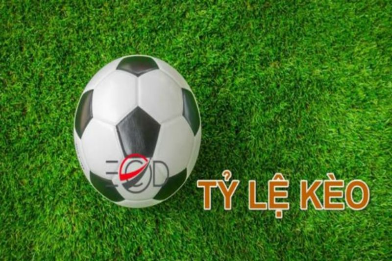 Cách Dự Đoán Tỷ Lệ Kèo Bóng Đá Chuẩn Các yếu tố tác động đến tỷ lệ kèo