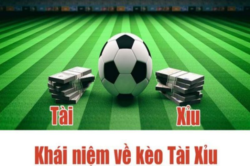 Cách Đọc Kèo Tài Xỉu Bóng Đá Đúng 100% Cho Mọi Cược Thủ Cách thức đọc kèo tài xỉu chính xác