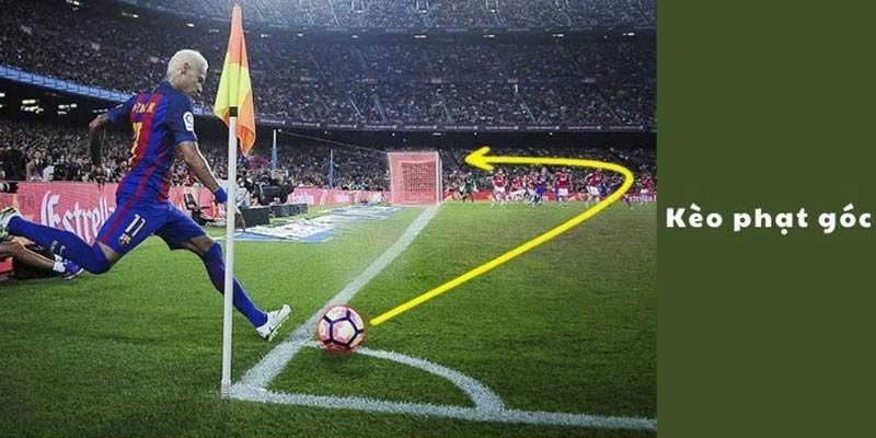 Tổng Hợp Các Luật Cá Độ Bóng Đá Tài Xỉu Trực Tuyến Phổ Biến Kèo tài xỉu đá bóng tổng bàn thắng tại Bongx9
