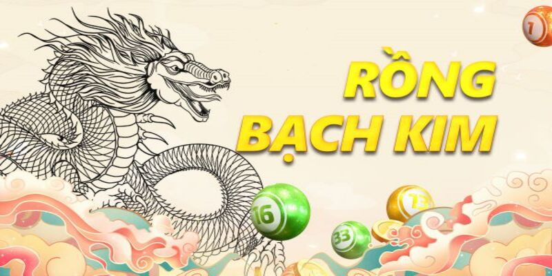 soi cau rong bach kim2