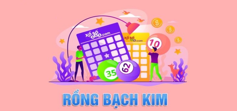 Soi Cầu Rồng Bạch Kim - Bí Quyết Dự Đoán Xổ Số Hiệu Quả Những chú ý trong quá trình soi Rồng Bạch Kim