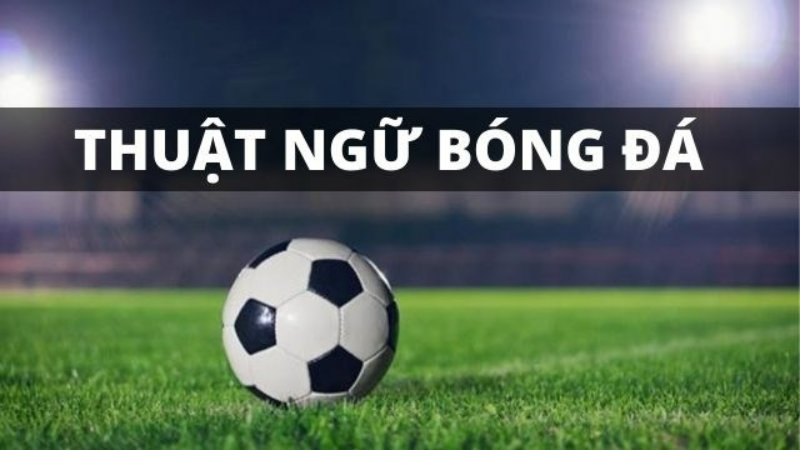 Tổng Hợp Từ A - Z Thuật Ngữ Dùng Trong Cá Cược Bóng Đá Bí quyết nhớ thuật ngữ dễ dàng